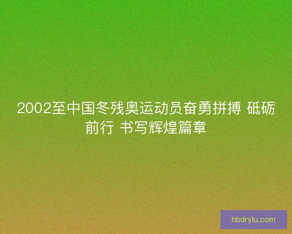 2002至中国冬残奥运动员奋勇拼搏 砥砺前行 书写辉煌篇章
